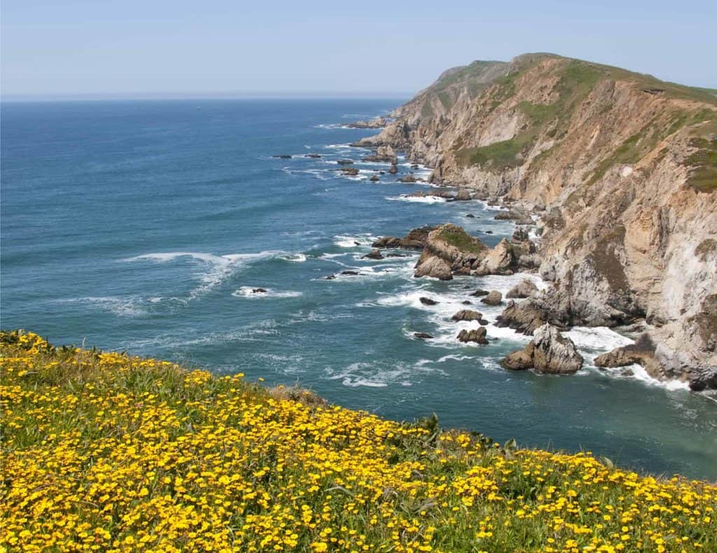 Goldfields and Seascape at Chimney Rock in Point Reyes California